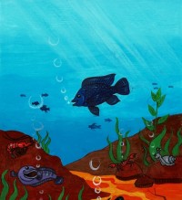 Beautiful Water Animals