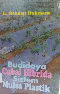 Budidaya Cabai Hibrida Sistem Mulsa Plastik