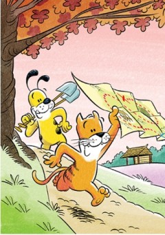 cover