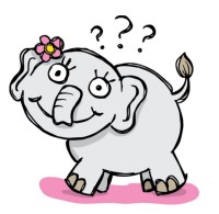 Curious Baby Elephant