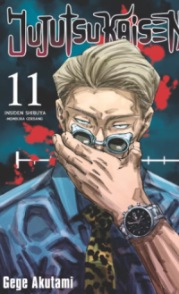 Image of Jujutsu Kaisen 11