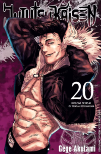 Image of Jujutsu Kaisen 20