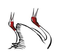 One Summer Afternoon