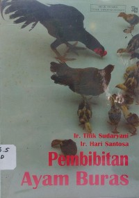 Pembibitan Ayam Buras