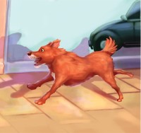 Racing to Win