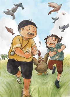 cover