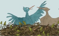 The Best Nest