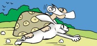 The Hare & the Tortoise (Again!)