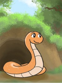 The Observant Little Snake