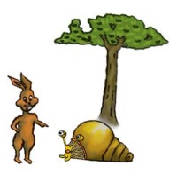 The Race