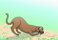 They Go to the Field